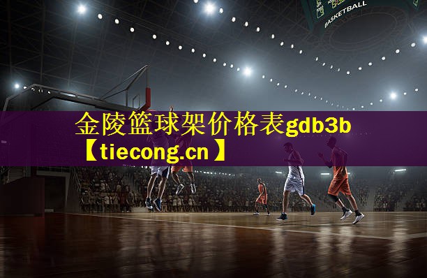 金陵篮球架价格表gdb3b