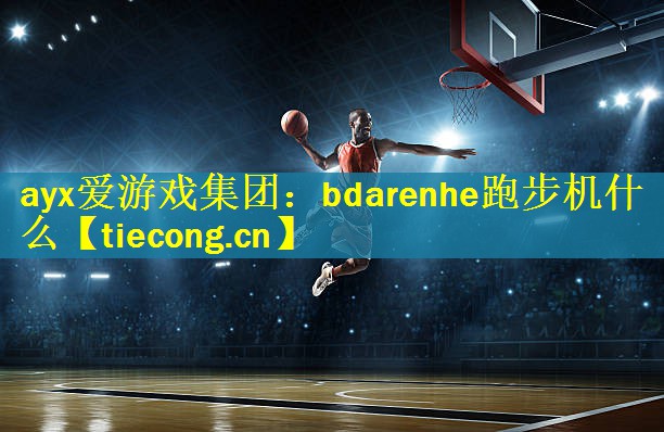 bdarenhe跑步机什么